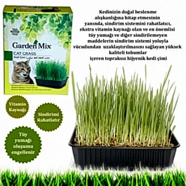 Gardenmix Kedi Çimi