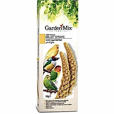 Gardenmix Platin Sarı Dal Darı