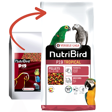 Versele Laga Nutrıbırd P19 Tropıcal Papağan Pelet Yem 10kg